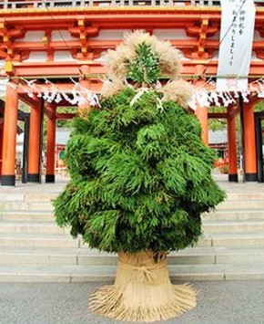 お正月の門松④生田神社（神戸市）の「杉盛り」