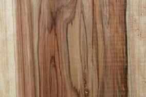 杉と檜①スギ材（両側の色の薄い部分が辺材、中心部が心材）